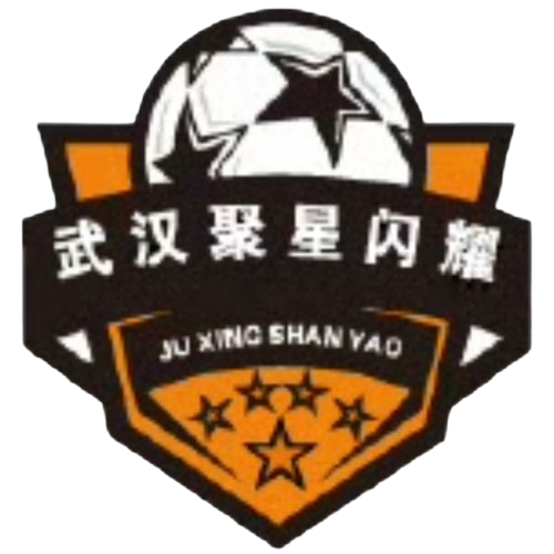 武汉聚星闪耀  logo