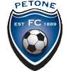 佩托内  logo