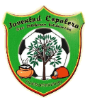 科帕莱拉女足队