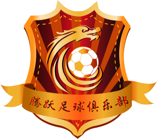 丹東騰躍  logo