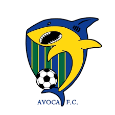 阿沃卡  logo
