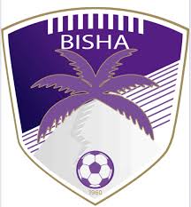 比萨FC logo