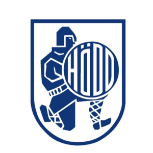禾特B队 logo