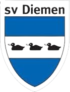 SV迪曼青年