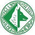 阿維利諾  logo
