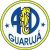 瓜鲁雅U19 logo