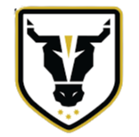 Bulls Academy U20