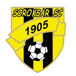索罗克萨 logo