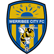 华勒比市U21 logo