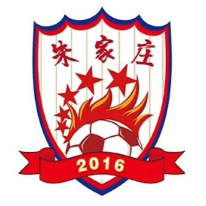 山东朱家庄村足球队 