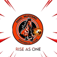 桑野马FC 桑野马FC