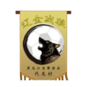 黑龙江肇源县代龙村辽金战狼队 
