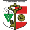 https://cdn.sportnanoapi.com/football/team/5b01c52c68b4b145d880a9e8326aec3b.png