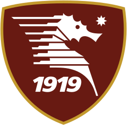 萨勒尼塔纳U19  logo