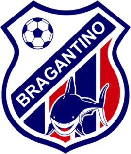 布拉甘蒂诺PA  logo