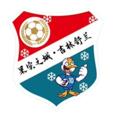 吉林省舒兰二合村雪乡足球队