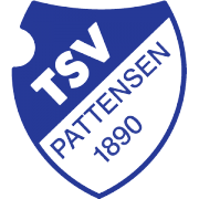 帕滕森  logo