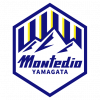 山形山神  logo