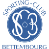 贝登堡 logo