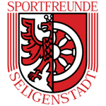 塞利根施塔特 logo