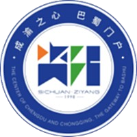 资阳队 