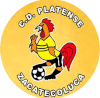 萨卡特科卢卡 logo
