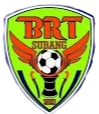 BRT梳邦  logo
