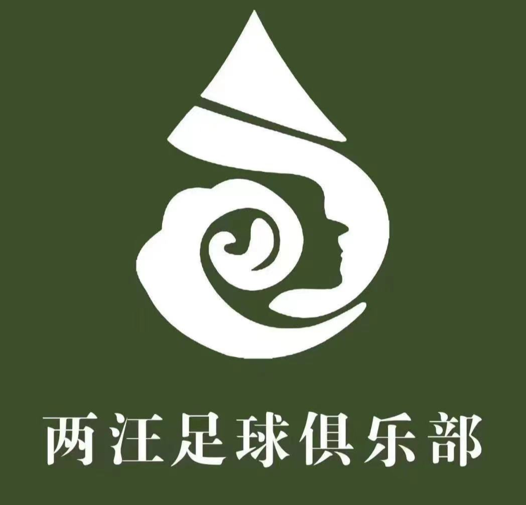 两汪村足球队logo
