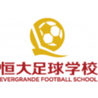 广东晨星聚力