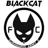 苏拉纳里黑猫 logo