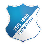 霍芬海姆U19 logo