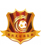 丹東騰躍 logo