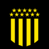 佩纳罗尔女足  logo