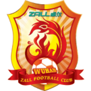 武汉长江  logo