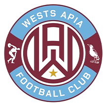 APIA 莱卡特足球俱乐部 