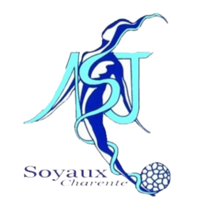 索奧克斯女足  logo