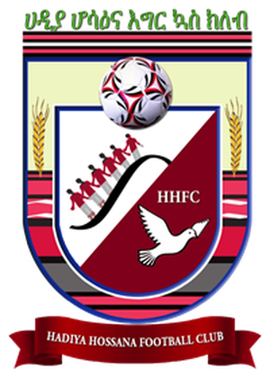 哈迪亚霍萨纳 logo