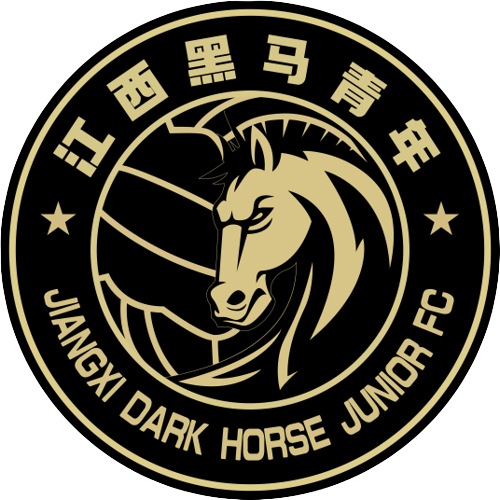 Jiangxi Dark Horse Junior