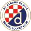 圣奧爾本斯U21 logo
