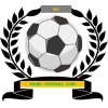 https://cdn.sportnanoapi.com/football/team/6dc6d59af2f0962597b412473a6708ee.png