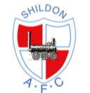 希尔登 logo