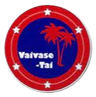 華斯泰FC  logo