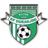 杜卡吉尼  logo
