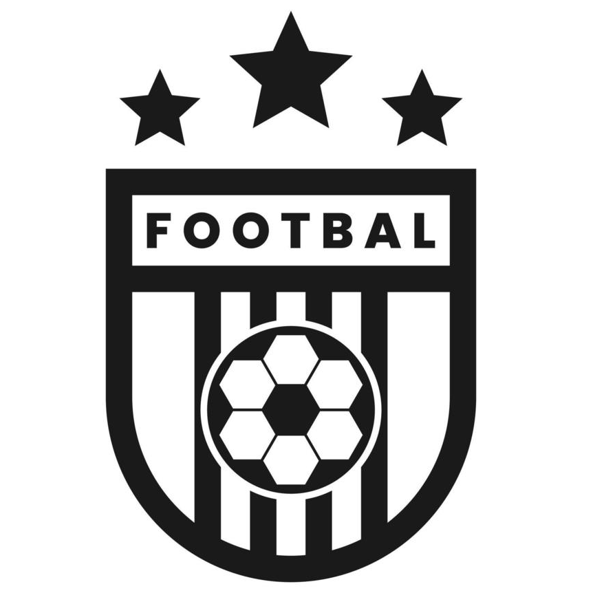 杰瑞BA女足logo