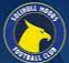 Solihull Moors(w)