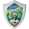 加拉维托 logo