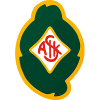 斯柯维德U21 logo