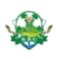 寿洞村足球队logo