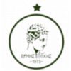 埃米斯埃克索奇斯 