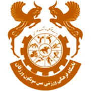 瓦爾扎甘  logo